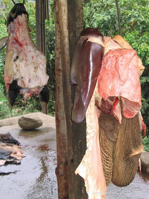 salkantay_060.jpg