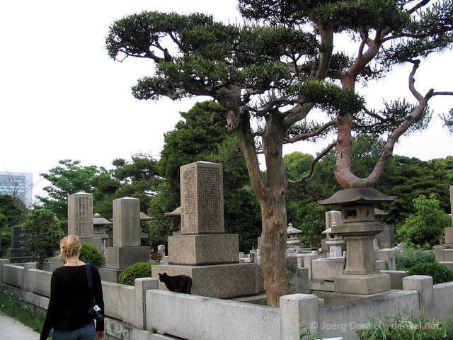 yoyogi_harajuku_25