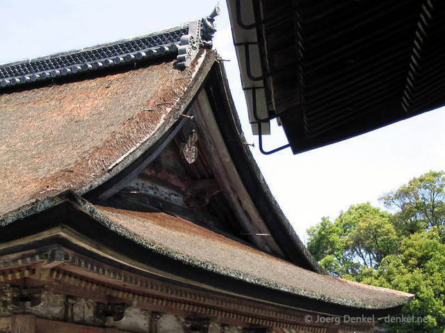 family_kyoto_59