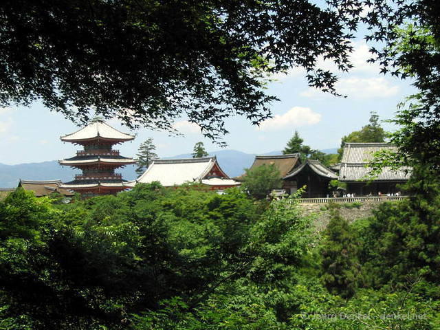 family_kyoto_71