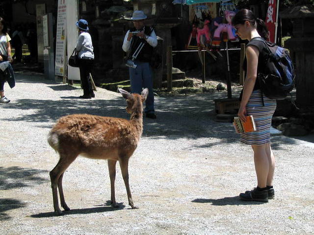family_nara_05