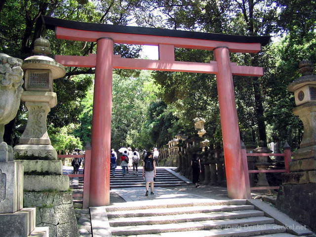 family_nara_07