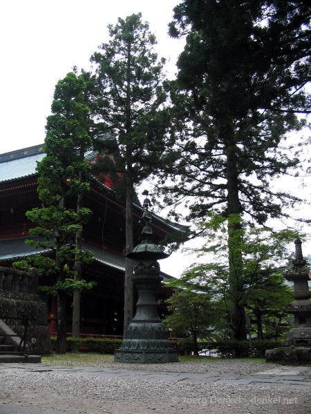 family_nikko_09