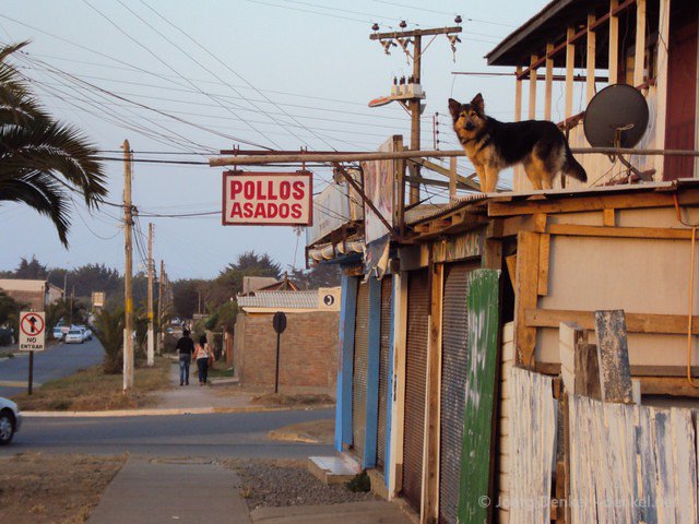 pichilemu 074