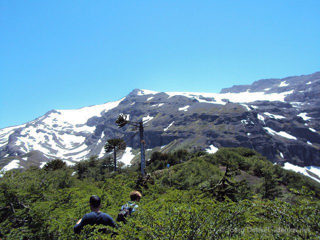 conguilllio 055