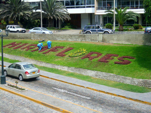 lima 014