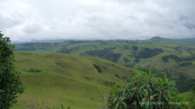 popayan2 010