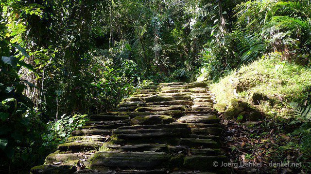 ciudadperdida 061