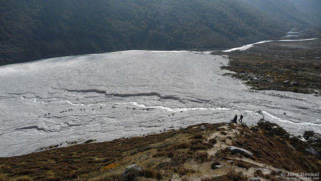 himalaya-langtang 114