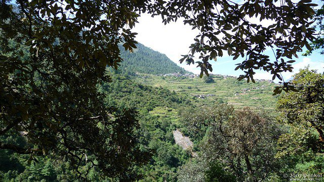 himalaya-langtang 144