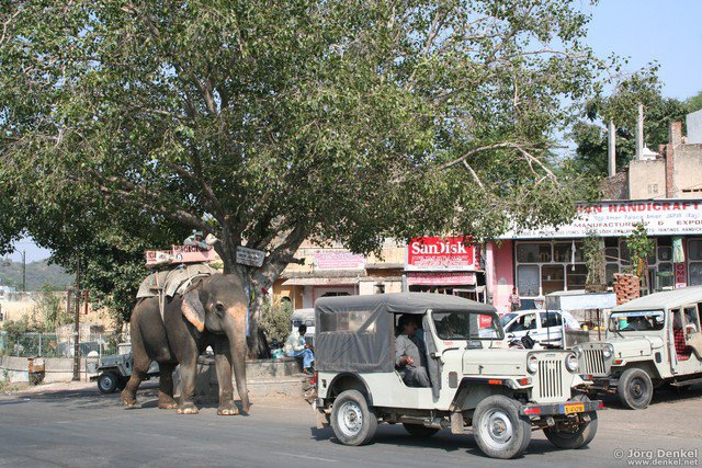 jaipur 027