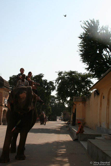 jaipur 041