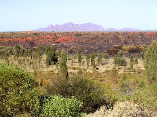 02_outback_117