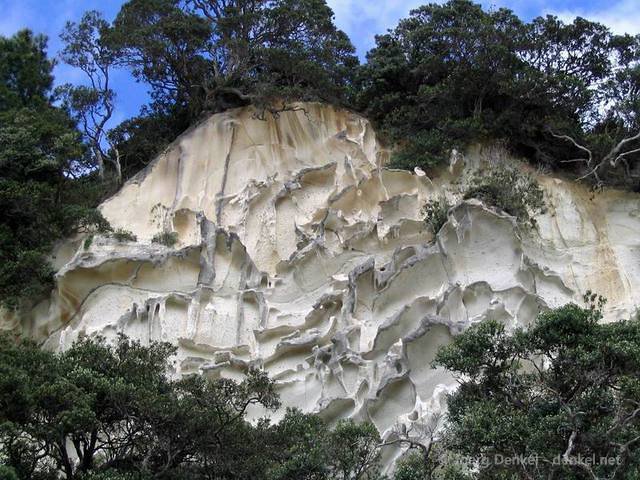 05_coromandel_030
