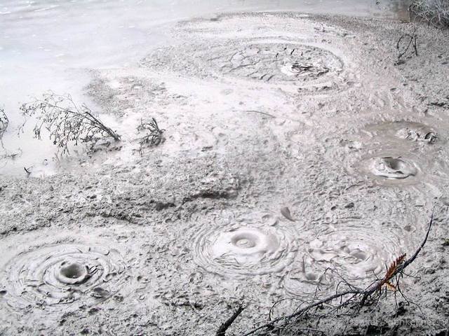 06_rotorua_038
