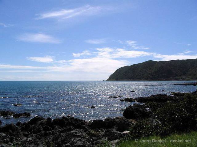 09_wellington_052