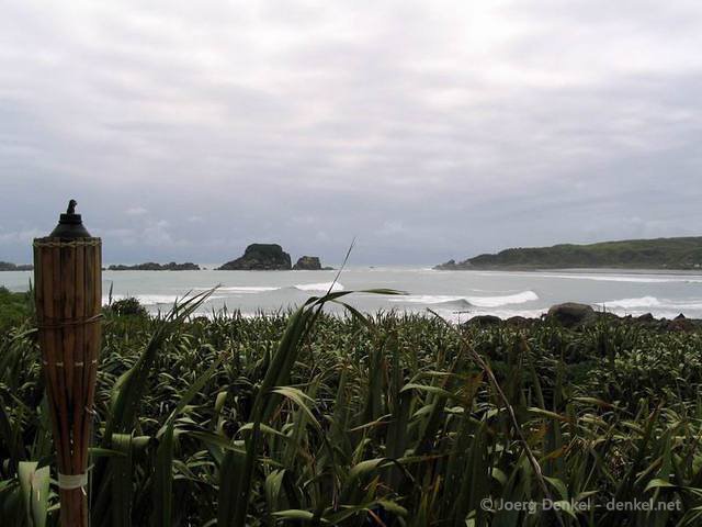 02_nelson_westport_032