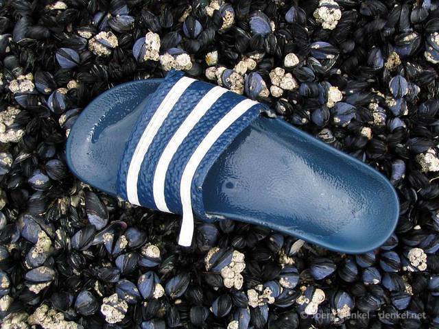 02_nelson_westport_046