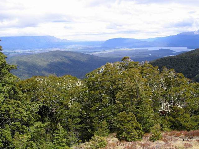 02_teanau_kepler_010