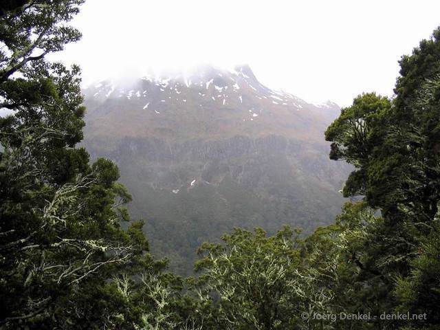 02_teanau_kepler_040