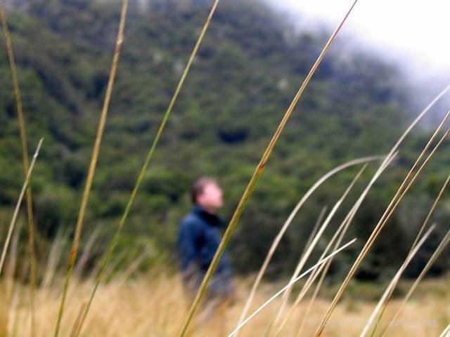 02_teanau_kepler_044