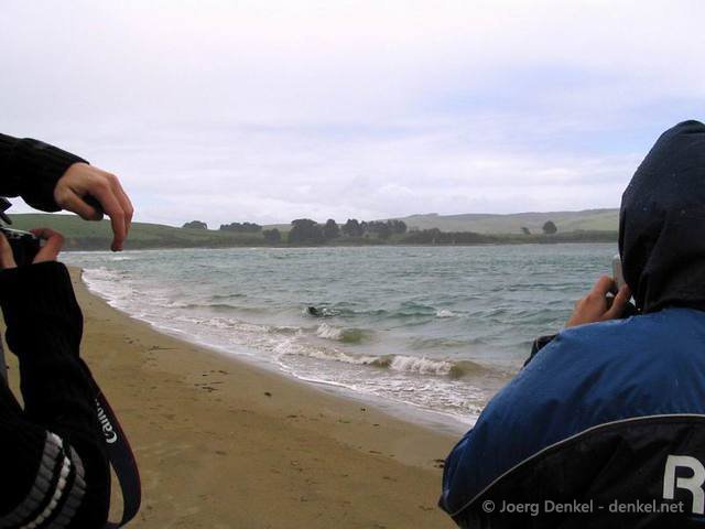 03_catlins_014