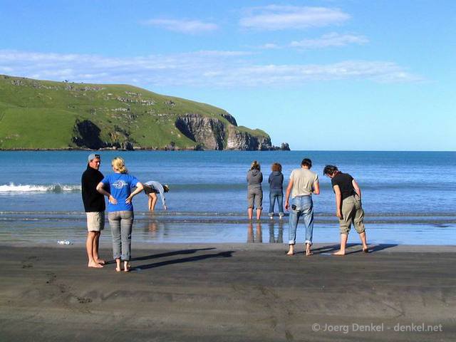 06_christchurch_akaroa_012