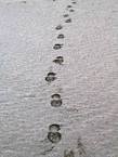 03_raglan_010