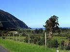 03_barrytown_053