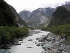 05_foxglacier_002